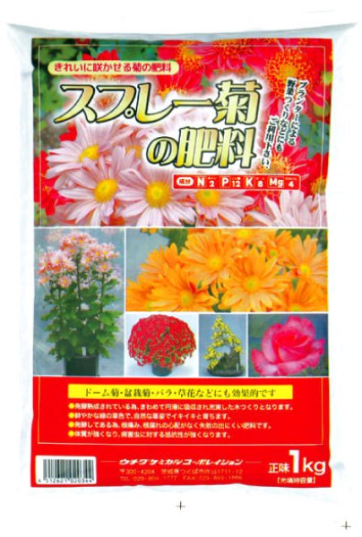 画像1: 【体質強化・病害虫に対する抵抗性が強くなる！】スプレー菊の肥料　1kg (1)