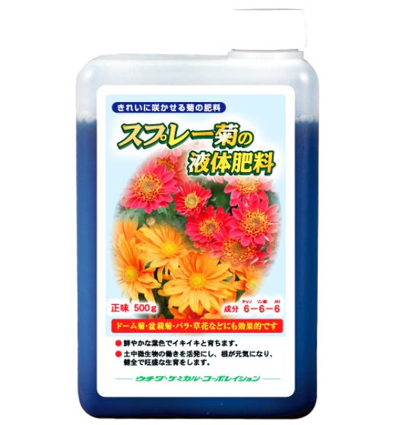 画像1: 【花つきが良い】スプレー菊の液体肥料　500ｇ入 (1)