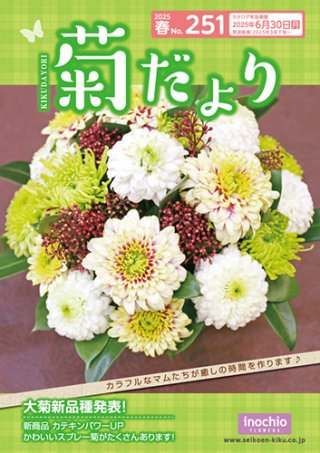 菊を創り続けて一世紀 精興園のネットショップ 『e-mum shop』