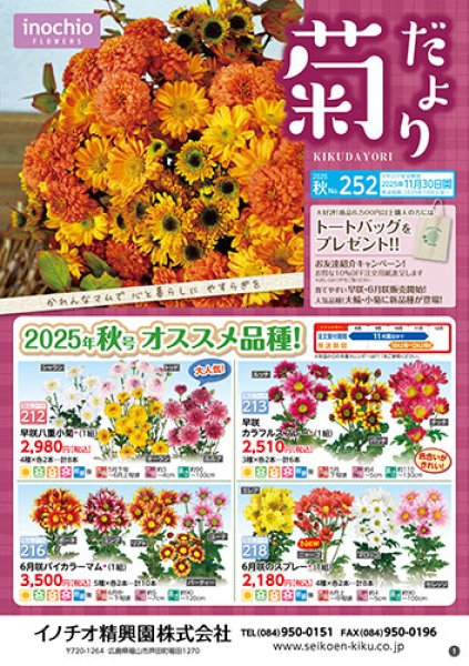 画像1: 2025年秋カタログ (1)